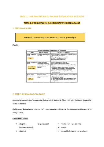 RESUM-CIPA.pdf