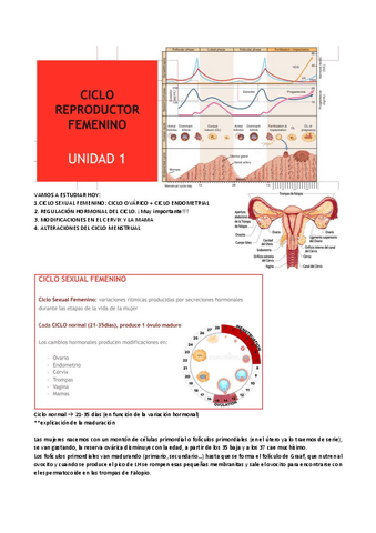 unidad-1-ciclo-reproductor-femenino.pdf