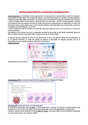 UNIDAD2-GAMETOGENESIS-FECUNDACION-DESARROLLO-FETAL.pdf