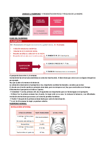 UNIDAD-4-PUERPERIO.pdf