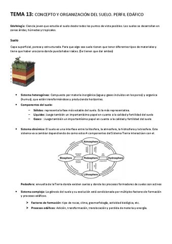 TEMA-13-Concepto-y-organizacion-del-suelo.-Perfil-edafico.pdf