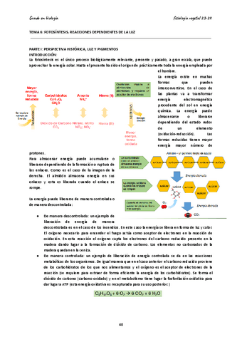 TEMA-6-y-7-fotosintesis-y-Ciclo-de-Calvin.pdf