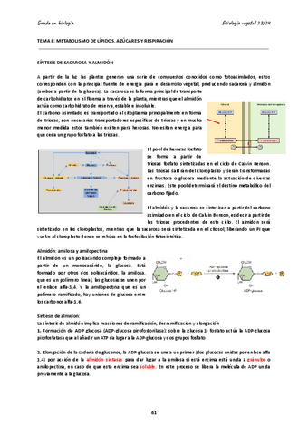 TEMA-8-Metabolismo-lipidos-y-azucares-1.pdf