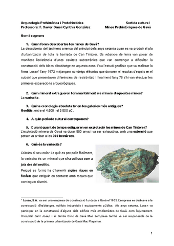 Mines-Prehistoriques-de-Gava.pdf