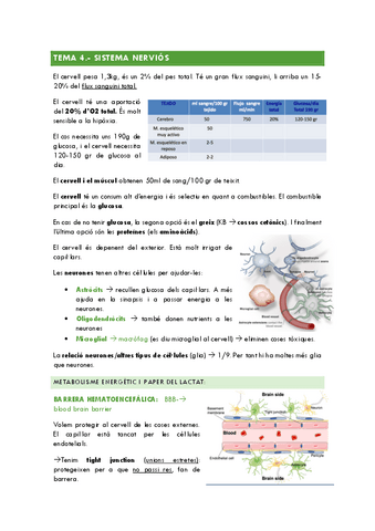 TEMA-4-cervell.pdf