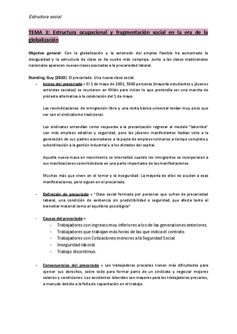Tema-3-Estructura-ocupacional-y-fragmentacion-social-en-la-era-de-la-globalizacion.pdf