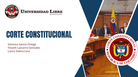 corte-constitucional-202309101726050000.pdf