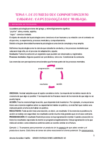 Apuntes-psicologia.pdf