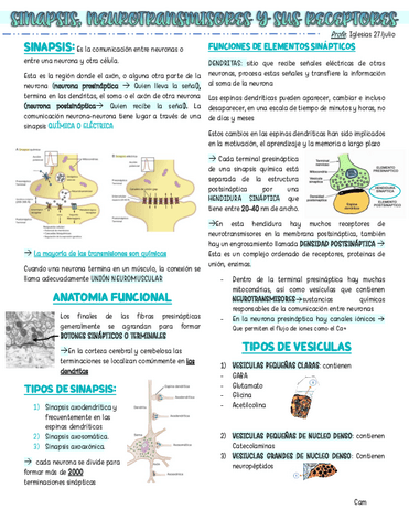1.-SINAPSIS-NEUROTRANSMISORES-Y-SUS-RECEPTORES.pdf