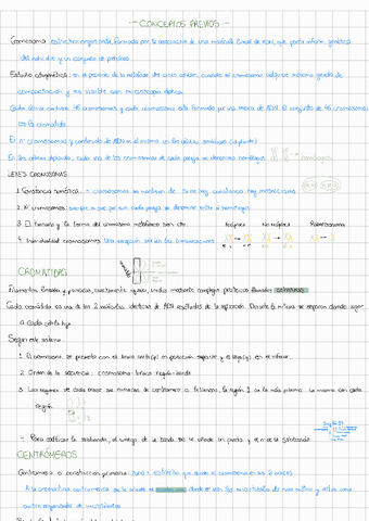 Resumen-231211184829.pdf