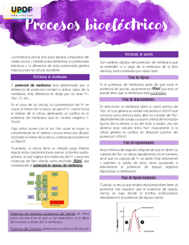 potencial-de-membrana-y-potencial-de-accion.pdf