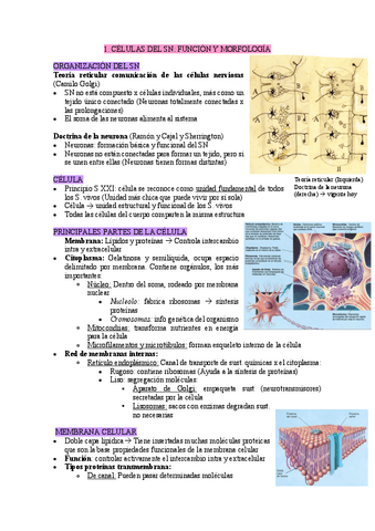 UC2-apuntes-B.-biologicas.pdf