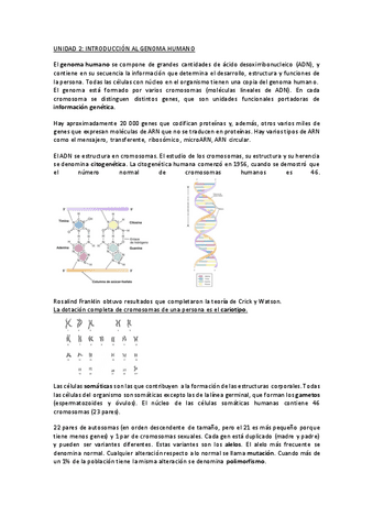 TEMAS-2-Y-3-GENETICA-1-MED.pdf