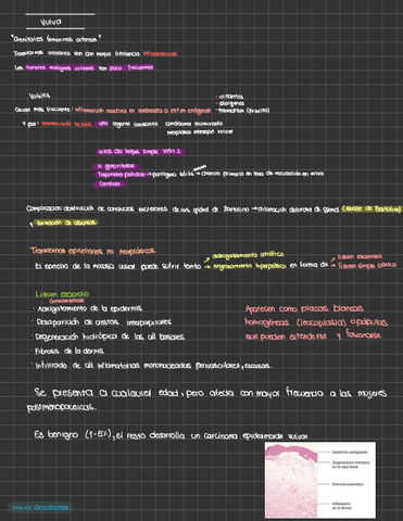 Anatopatologia-de-vagina-Robbins.pdf