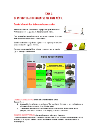 Resumen-T6.pdf