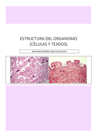 Extructura-del-organismo--celulas-y-tejidos-.pdf