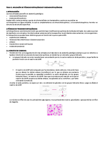 TEMA-5-PROCESAMIENTO.pdf
