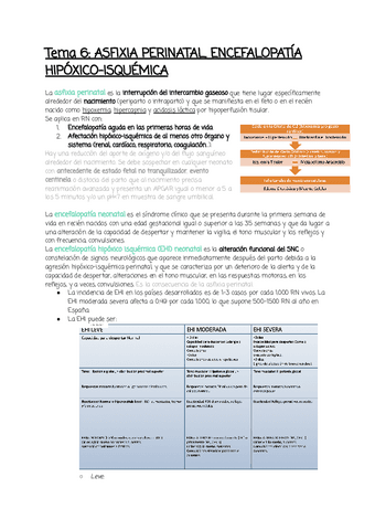 Tema-6.pdf