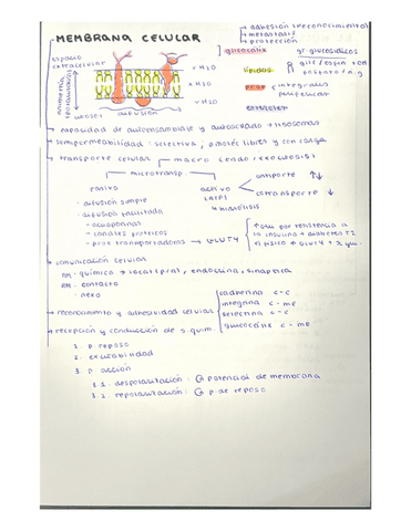 Esquemas-EUCARIOTAS-tema-1-14.pdf