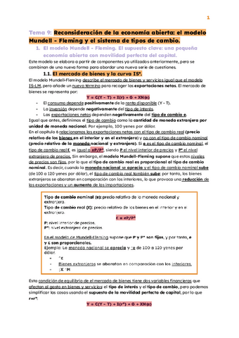 TEMA-9.pdf