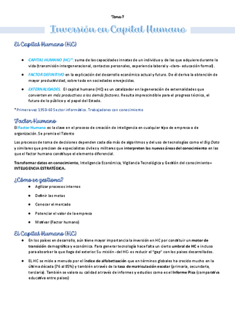 Tema-7globalBusiness.pdf