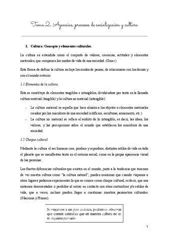 Tema-2-Sociologia-PARA-EXAMEN.pdf