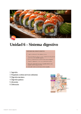 Unidad-6-Sistema-digestivo.pdf