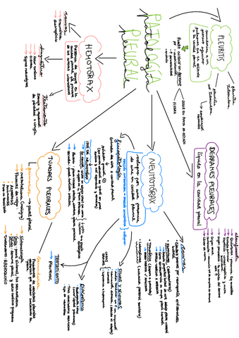 Patologia-esquemas-2o-parcial-hasta-patologia-esofagica.pdf