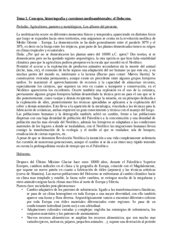 APUNTES-Prehistoria.pdf