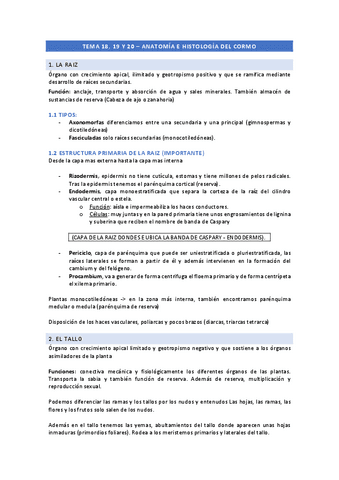 Tema-18-19-20-Anatomia-e-histologia-del-cormo.pdf