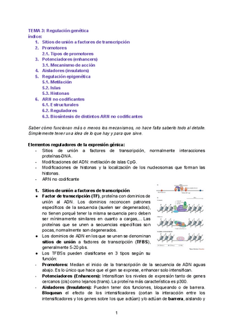 Tema-3-Regulacion-genica.pdf