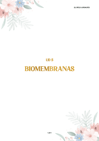 ud5-BQ-membranas.pdf