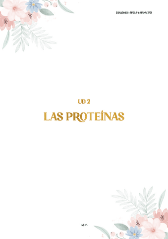 ud2-BQ-proteinas.pdf