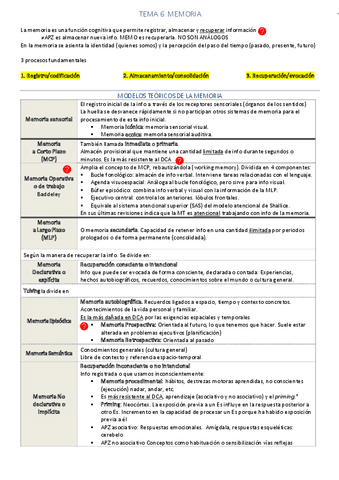 Resumen Tema 6 - Neuropsicología de la Memoria.pdf