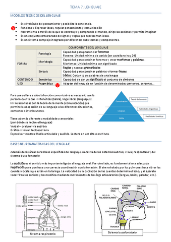 Resumen Tema 7 - Neuropsicología del Lenguaje.pdf