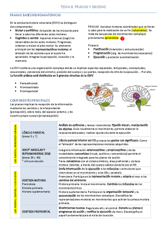 Resumen Tema 8 - Neuropsicología de las Praxias y Gnosias.pdf