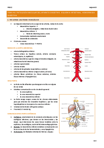 Tema-46-Patologia-vascular-del-ap-digestivo.pdf