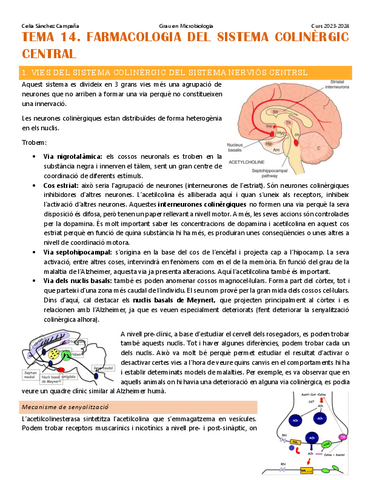 Tema-14.-Farmacologia-del-sistema-colinergic-central.pdf