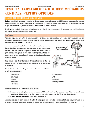 Tema-17.-Els-opioides.pdf