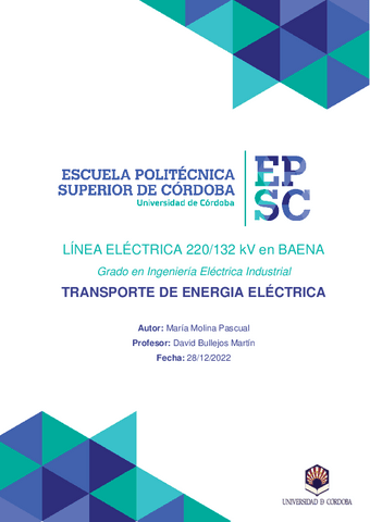 LINEA-ELECTRICA-BAENA.pdf