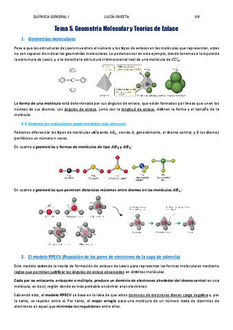 T5Geometria-molecular-y-teorias-de-enlace.pdf