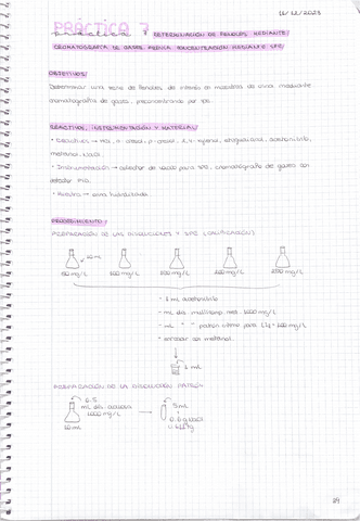 practica-7-fenoles.pdf