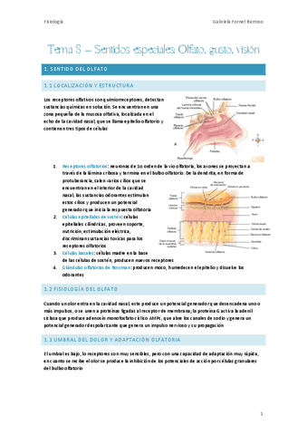 Tema-8-Sentidos-especiales-Olfato-gusto-vision.pdf