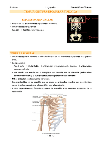 T.7-CINTURA-ESCAPULAR-Y-PELVICA.pdf