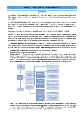 TEMA-1.-Marco-conceptual-de-la-Salud-Publica.pdf