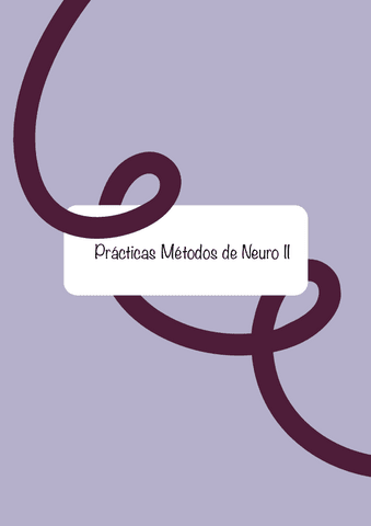 Practicas-Metodos-de-Neuro-II.pdf