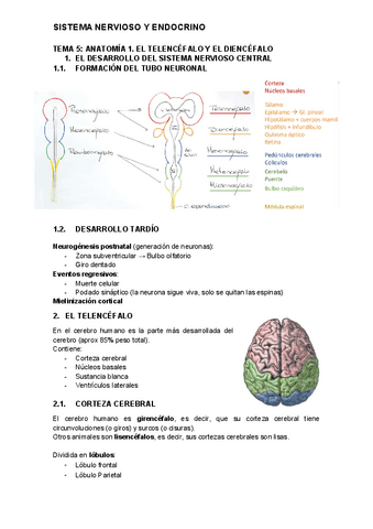 nervioso-5.pdf