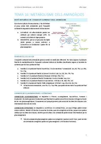 Tema-16.-Metabolisme-dels-aminoacids.pdf