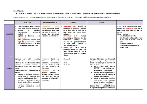 TEMA-1.-DERMATOLOGIA.pdf