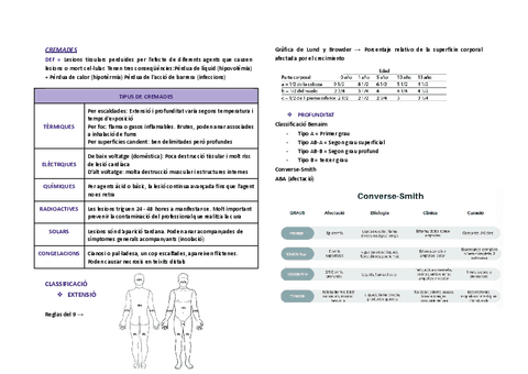 TEMA-4.-CREMADES.pdf